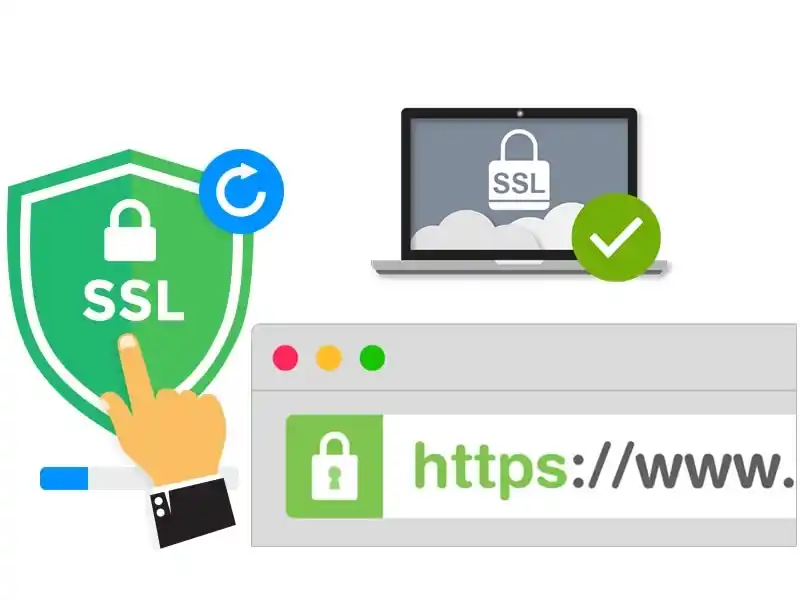 ssl_1_11zon
