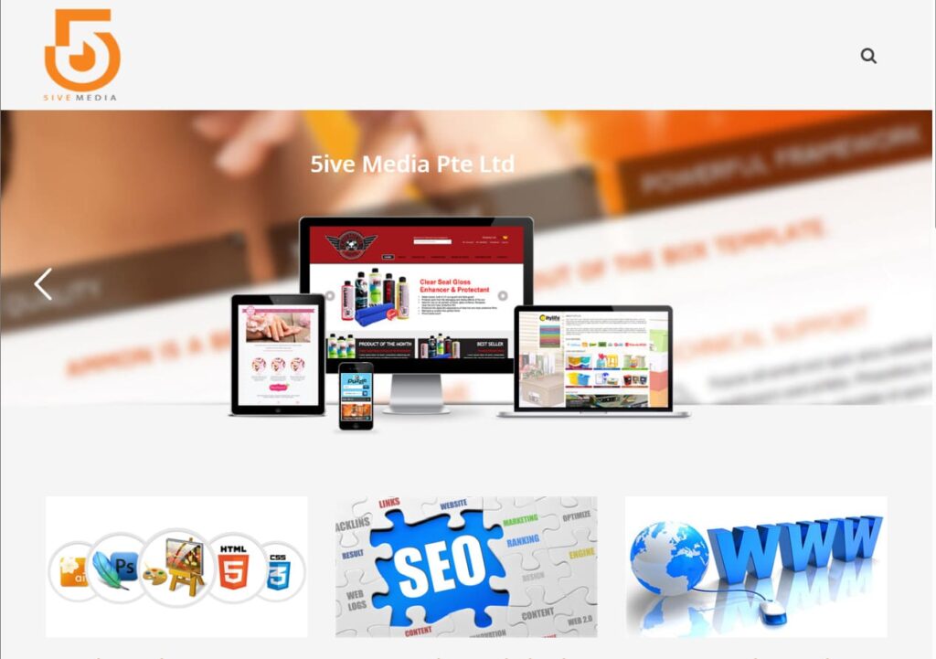 Website Development Agencies in Singapore (2)-copy-0