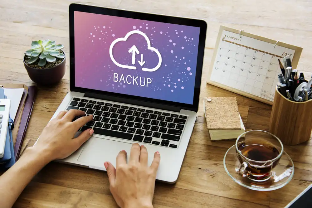 Why Regular Website Backups Are the Lifeline Your Site Can’t Live Without